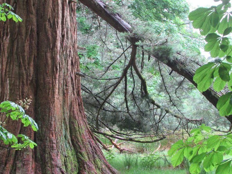 Coached intermediary practice group, Thursday evenings